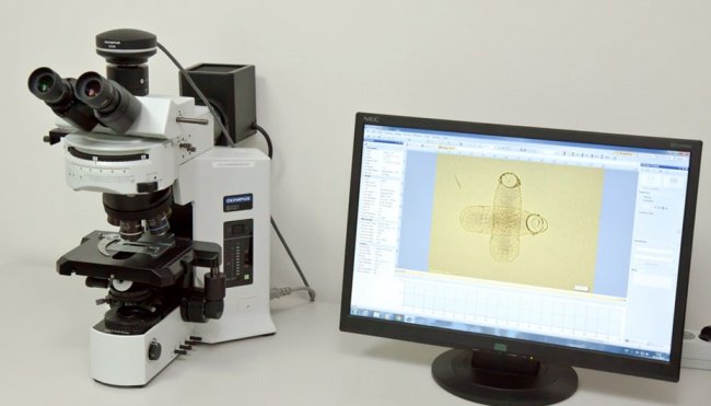 Оптические микроскопы Olympus – точность и высокое качество