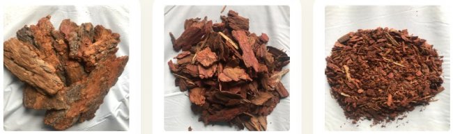 Кора лиственницы оптом