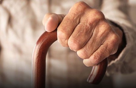 Трость как символ стиля и поддержки: как выбрать подходящую модель