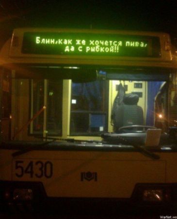 243404_566882