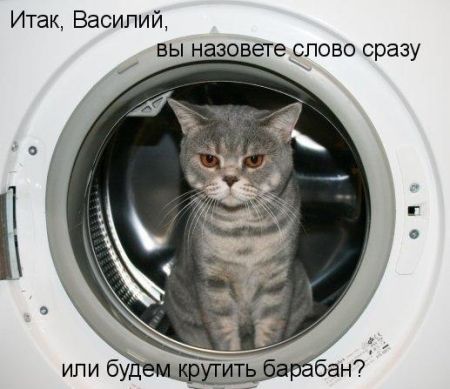 0hhRoj_kirY