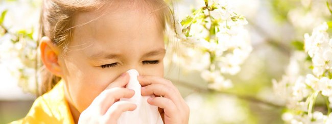 Почему важен прием аллерголога – ключ к контролю над аллергией