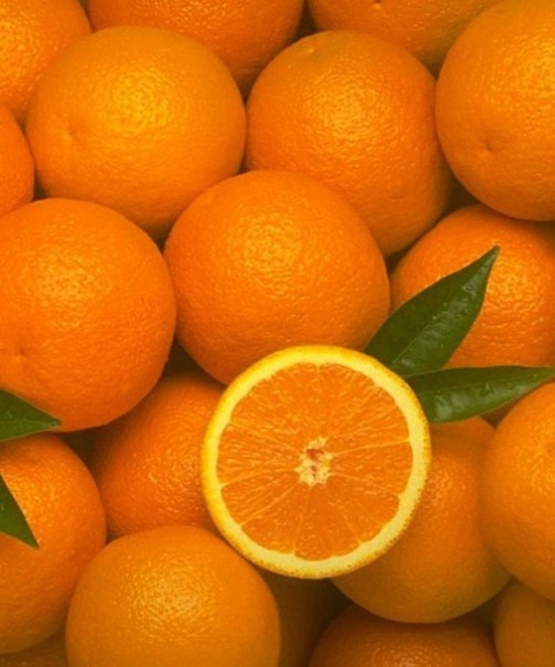 У отца есть 5 различных апельсинов. Апельсины. Апельсины разные сорта. Апельсин Иран. Апельсин картинка.
