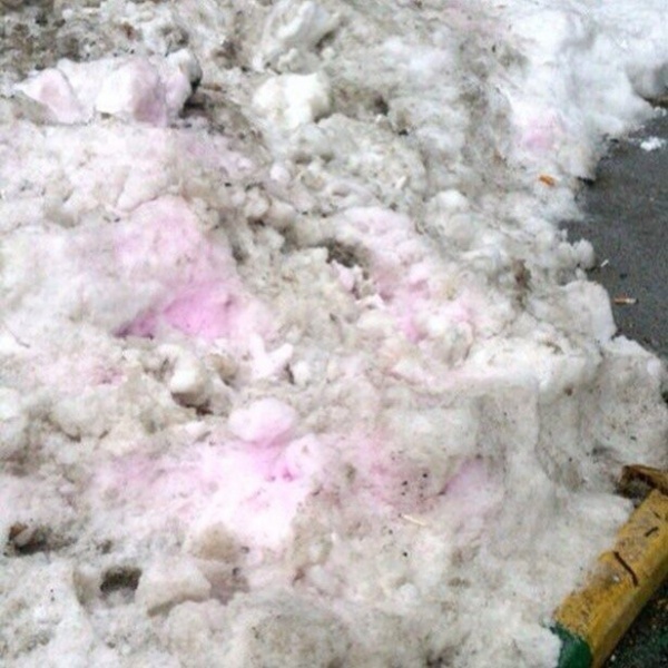 Розовый снег собаки. Красная отрава для собак на снегу. Розовый снег отрава для собак. Отрава для собак розового цвета.